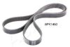 ASHIKA 112-6PK1460 V-Ribbed Belts